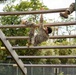 Ranger and Sapper Assesment Program: Obstacle Course