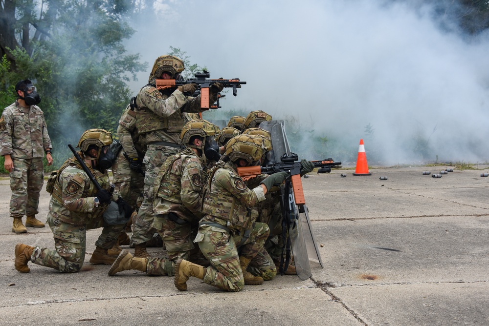 Domestic Operations Training