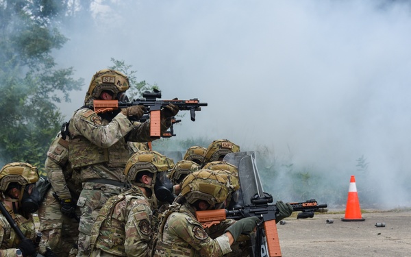 Domestic Operations Training