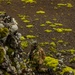 Arctic Agility | U.K, U.S, and Norway build partnerships on remote arctic islands