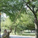 Task Force Beautification, DC