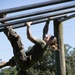 Human Performance Center hosts Fittest of 2nd Marine Logistics Group Competition