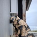 Northern Challenge 25 – U.S. Navy EOD