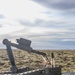 Northern Challenge 25 – U.S. Navy EOD
