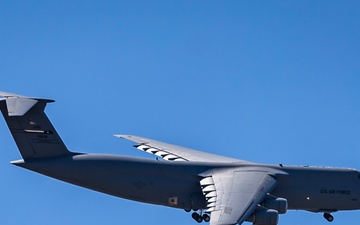 Alamo Wing Soars