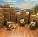 MRE, First Strike Ration, Close Combat Assault Ration