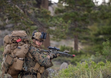 1st Bn., 5th Marines conduct night hike during MTX 4-25