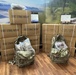 First Strike Rations, Close Combat Assault Rations