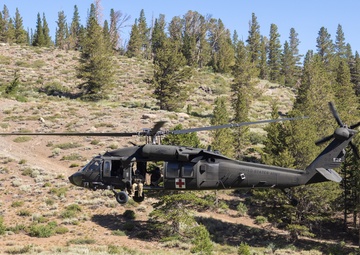 CLB-5, CLR-1 Marines receive sling load delivery from Nevada National Guard during MTX 4-25