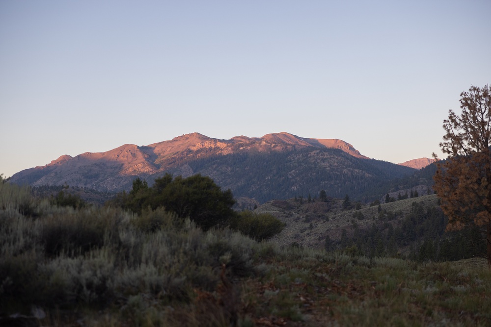 1st Bn., 5th Marines hike into training area during MTX 4-25