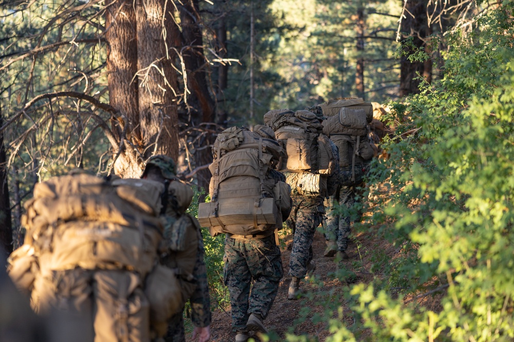 1st Bn., 5th Marines hike into training area during MTX 4-25