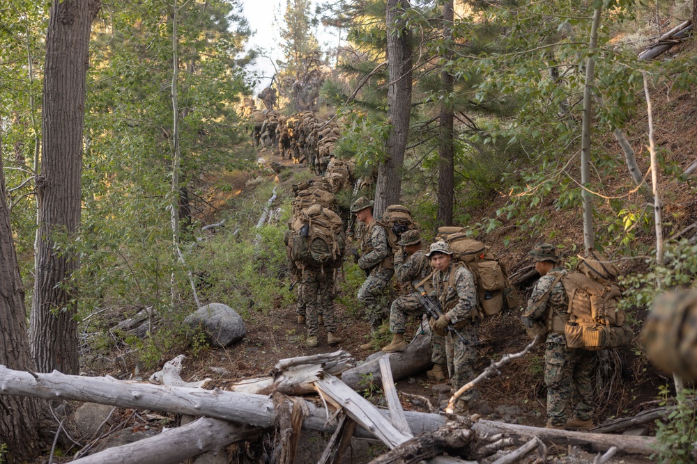 1st Bn., 5th Marines hike into training area during MTX 4-25