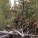 1st Bn., 5th Marines hike into training area during MTX 4-25