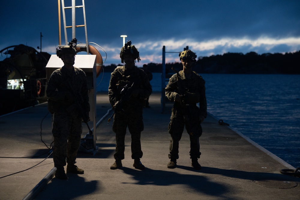 U.S. Marines, Swedish forces conduct night raid training