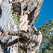 1st Bn., 5th Marines rappel from a mountain during MTX 4-25