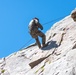 1st Bn., 5th Marines rappel from a mountain during MTX 4-25