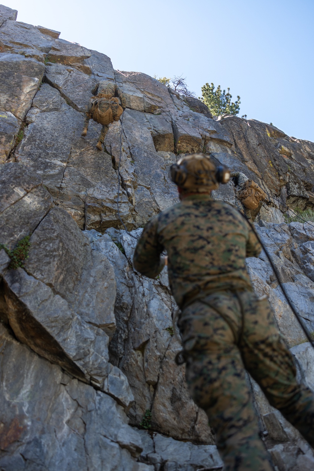 1st Bn., 5th Marines rappel from a mountain during MTX 4-25