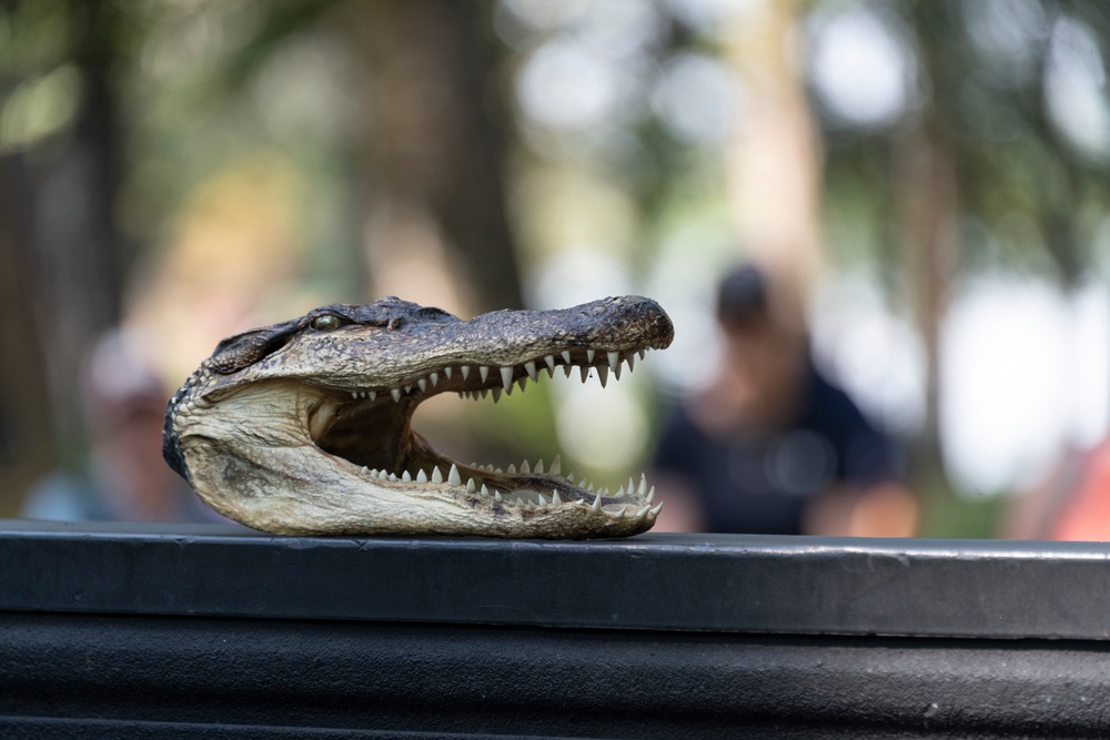 2025 BA Steinhagen Veterans Alligator Hunt