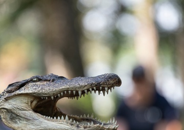 2025 BA Steinhagen Veterans Alligator Hunt