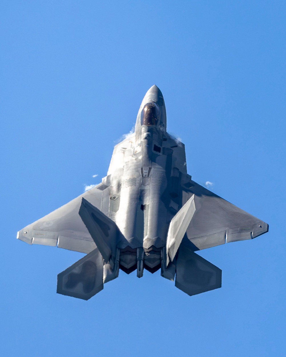 New York Air Show Kicks Off with F-22 Raptor