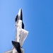 New York Air Show Kicks Off with F-22 Raptor