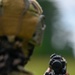 169th Security Forces Squadron annual training exercise