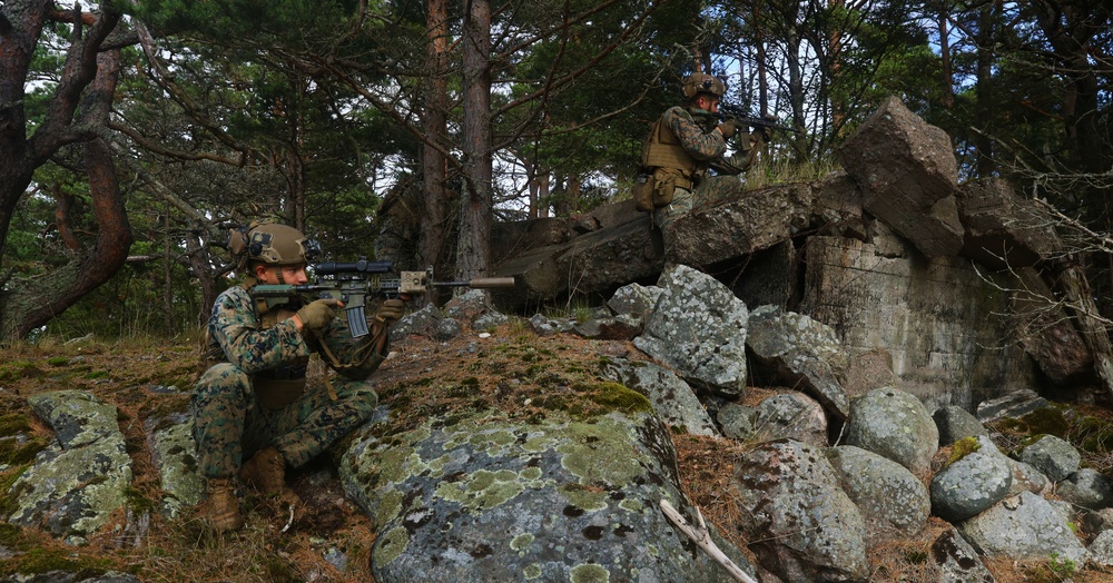 U.S. Marines, Swedish forces sharpen sea control tactics