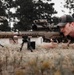 Snipers Test Precision During Sustainment Training