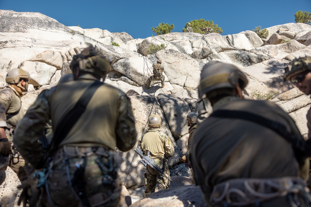 1st Bn., 5th Marines conduct day, night cliff assaults with UAE Presidential Guard during MTX 4-25