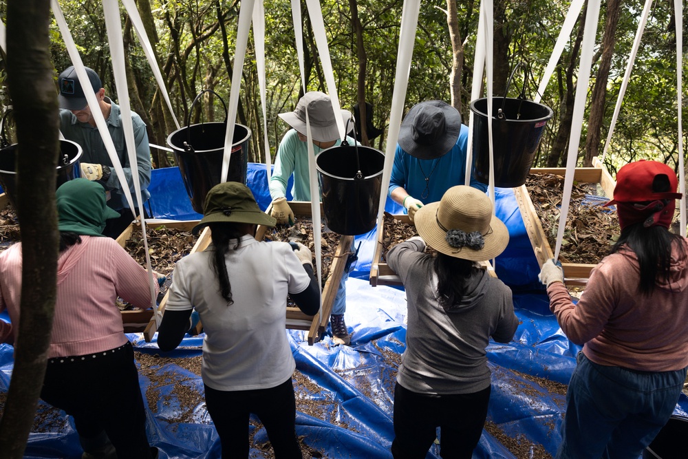 Defense POW/MIA Accounting Agency conduct dry screening as a part of recovery efforts in the jungles of Vietnam