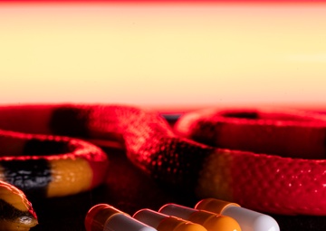 OPMED team developing modern solution for snakebite treatment