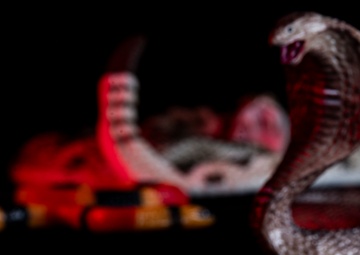 OPMED team developing modern solution for snakebite treatment