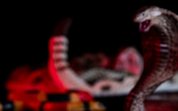 OPMED team developing modern solution for snakebite treatment