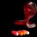 OPMED team developing modern solution for snakebite treatment