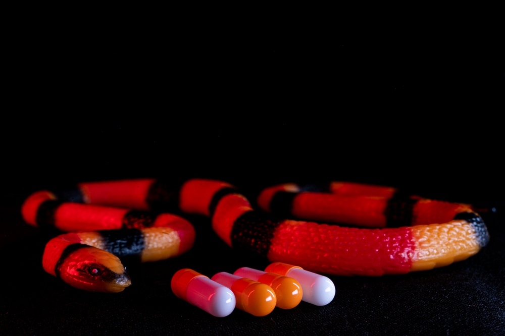 OPMED team developing modern solution for snakebite treatment