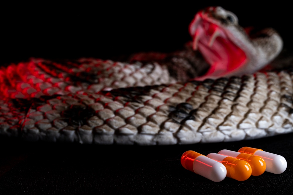 OPMED team developing modern solution for snakebite treatment