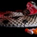 OPMED team developing modern solution for snakebite treatment