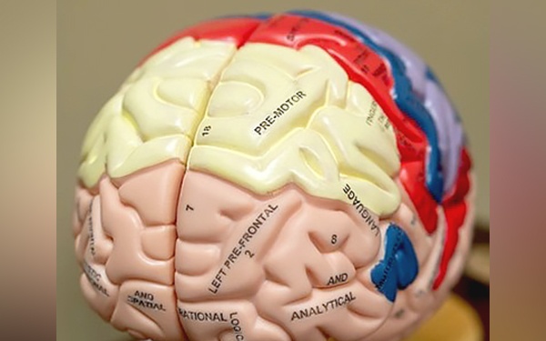 A decade of impact: 10 Years of U.S. military partnership with NCAA improves concussion research and care