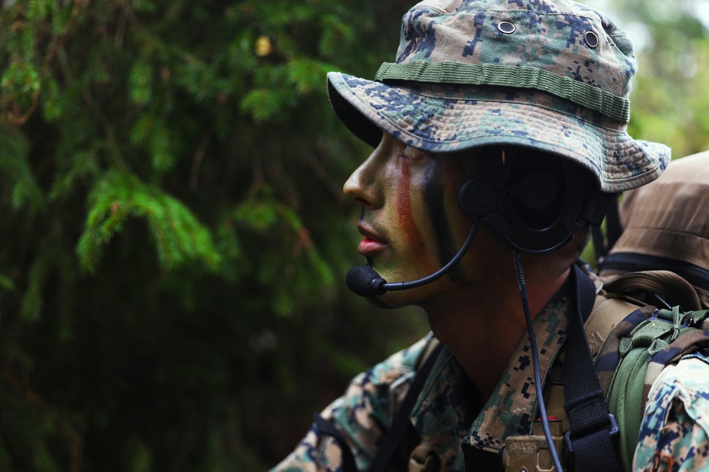 U.S. Marines, Swedish forces sharpen littoral combat capabilities