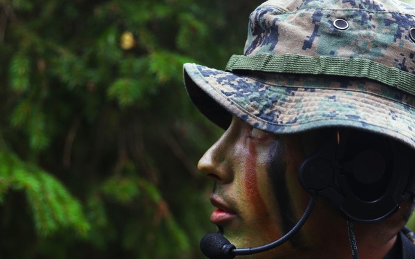 U.S. Marines, Swedish forces sharpen littoral combat capabilities