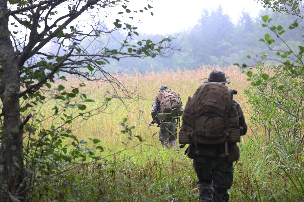 U.S. Marines, Swedish forces sharpen littoral combat capabilities