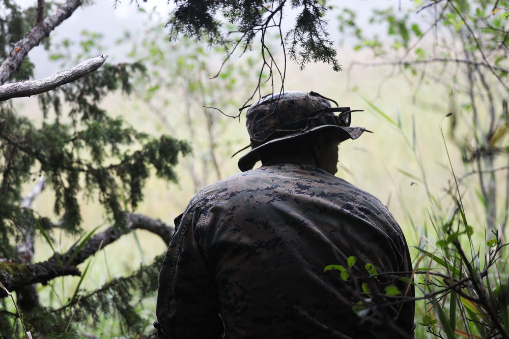U.S. Marines, Swedish forces sharpen littoral combat capabilities