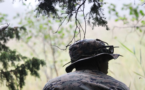 U.S. Marines, Swedish forces sharpen littoral combat capabilities