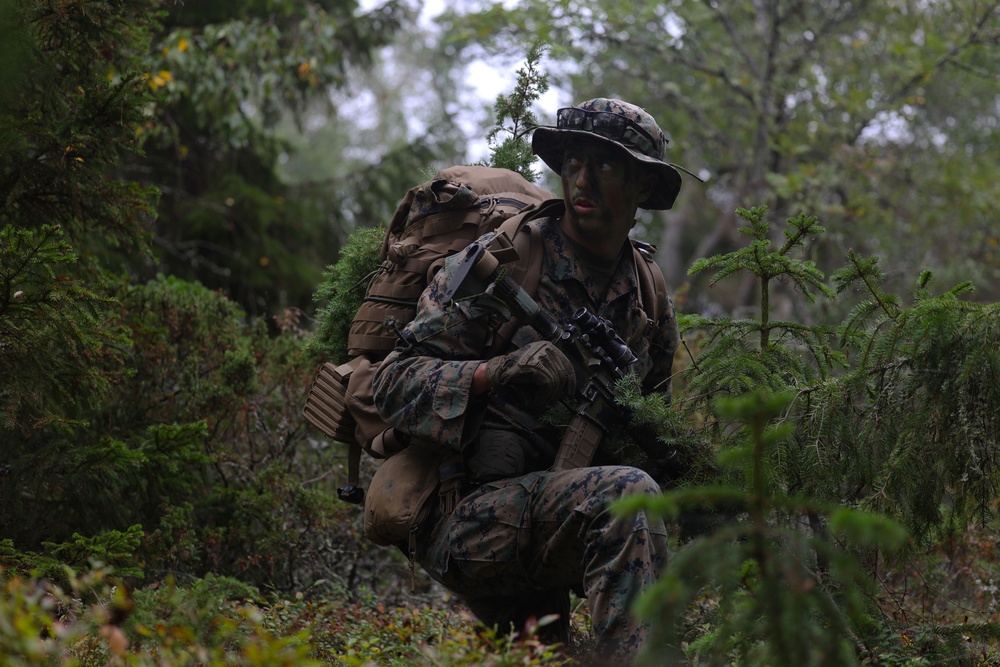 U.S. Marines, Swedish forces sharpen littoral combat capabilities