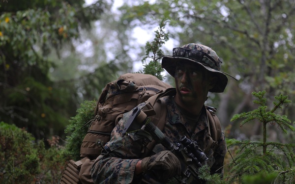 U.S. Marines, Swedish forces sharpen littoral combat capabilities