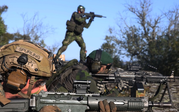 U.S. Marines, Swedish forces sharpen littoral combat capabilities