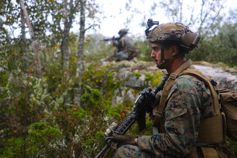 U.S. Marines, Swedish forces sharpen littoral combat capabilities