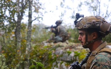 U.S. Marines, Swedish forces sharpen littoral combat capabilities