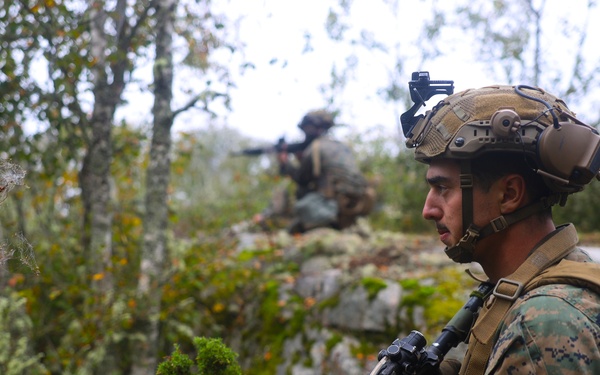 U.S. Marines, Swedish forces sharpen littoral combat capabilities