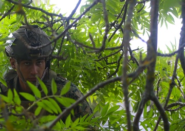 U.S. Marines, Swedish forces sharpen littoral combat capabilities